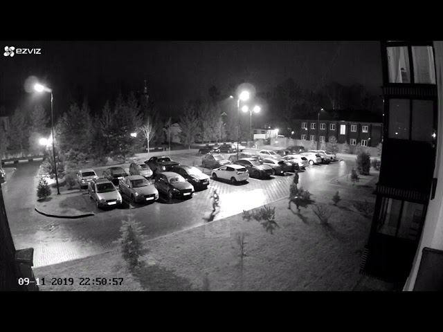 В Одинцовском округе дети натравили собаку на домашнего кота смотреть онлайн