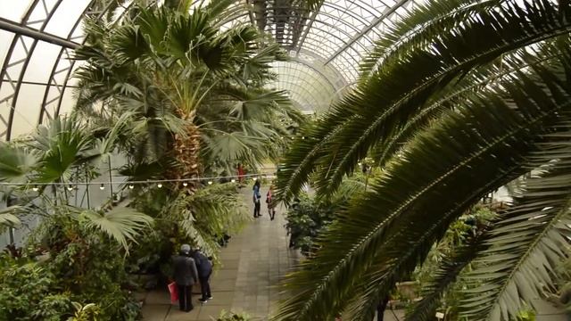 MUSTHAVE воспитание девочки. ДЕТИ смотреть онлайн