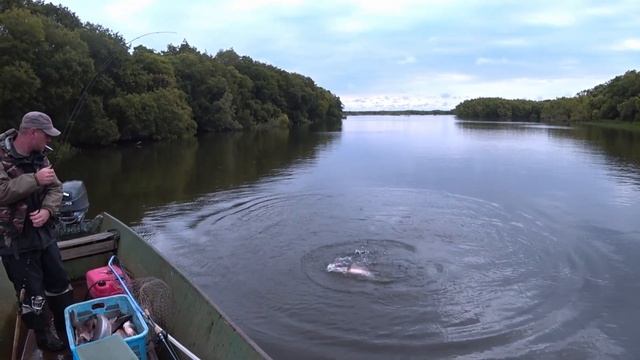 Рыбалка на Камчатке смотреть онлайн