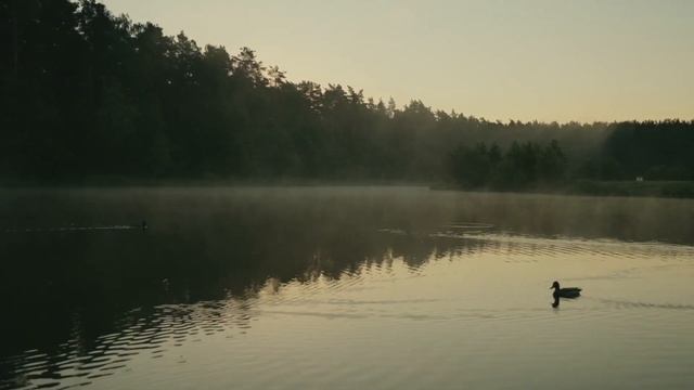 "А на меньшее я не согласна.." Жизненный стих о мире, любви и гармонии. смотреть онлайн