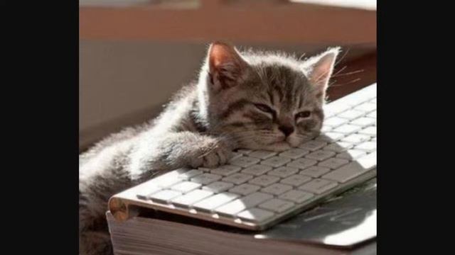 GrandTheft Squanchy Live Stream смотреть онлайн