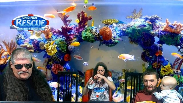 STAY FISHY FRIDAY 3/03/23 смотреть онлайн