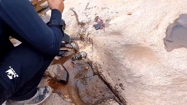 encontrei ouro no Rio com o DETECTOR de metal Gold monster 1000 смотреть онлайн