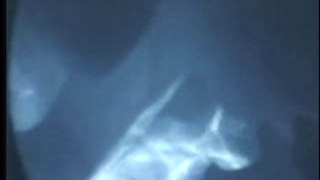 Disney World 20,000 Leagues Under the Sea Ride - full ride (best-of compilation) смотреть онлайн