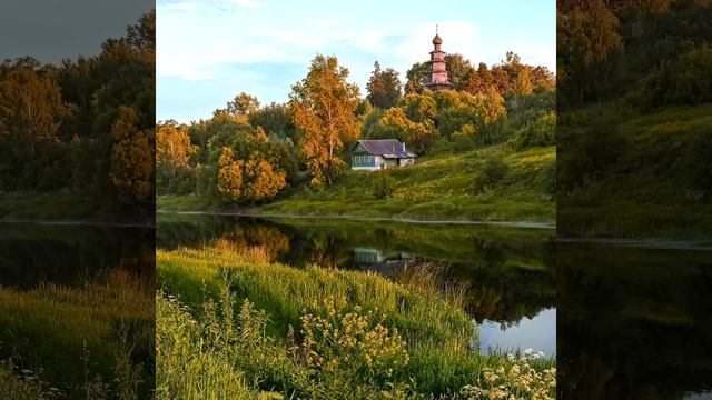 Крылатый лес и легкокрылый металл. Автор Наталья Сидорина ,читает Г. Павлова, видео Ariana Iskander смотреть онлайн