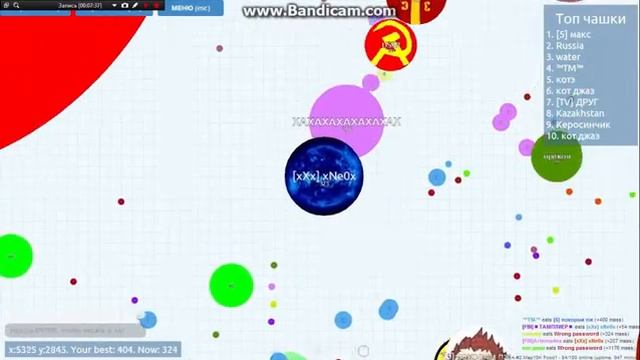 Играем в Petri Dish режим Crazy FFA смотреть онлайн