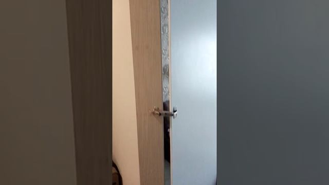 Дверь в гардеробную комнату смотреть онлайн