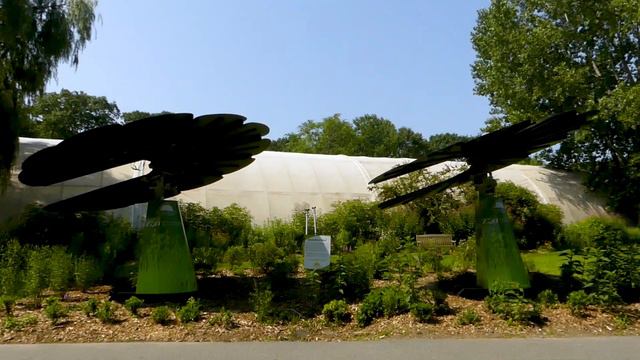 Smartflowers at Franklin Park Zoo Bring Conservation into Bloom смотреть онлайн