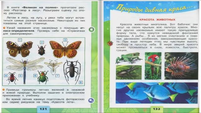 Впереди лето. Окружающий мир. 2 класс, 2 часть. Учебник А. Плешаков стр. 130-133 смотреть онлайн