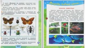 Впереди лето. Окружающий мир. 2 класс, 2 часть. Учебник А. Плешаков стр. 130-133