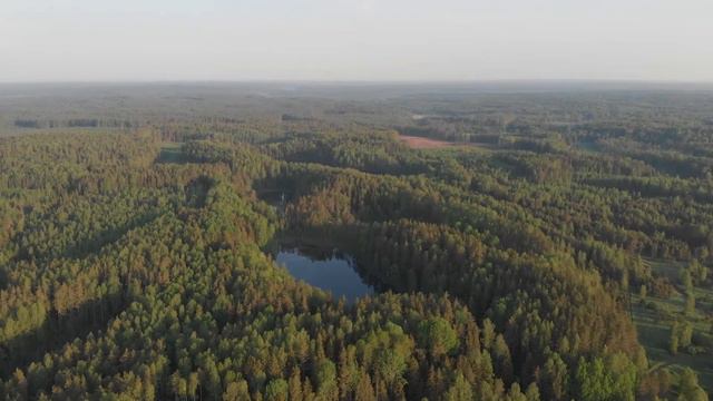 relax music and video for meditation смотреть онлайн