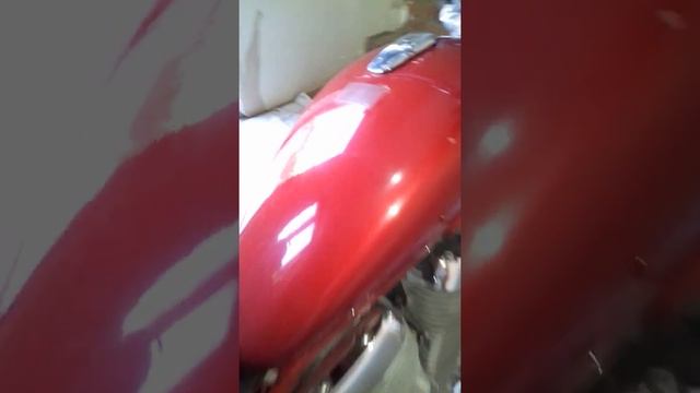 Suzuki intruder 800 смотреть онлайн