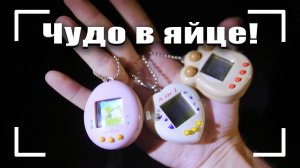 Чудо в яйце! История тамагочи. Мои тамагочи.
