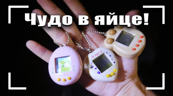 Чудо в яйце! История тамагочи. Мои тамагочи.