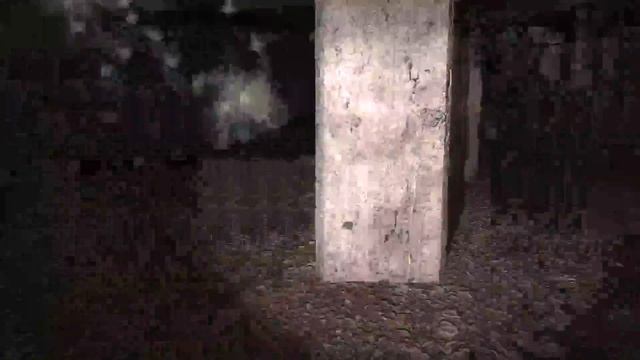 Оазис в игре S.T.A.L.K.E.R. Зов Припяти (Call of Pripyat). Прохождение смотреть онлайн