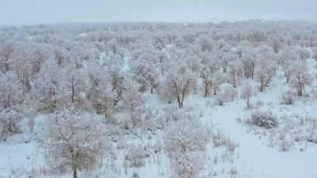 Rare snow turns Taklimakan Desert into winter wonderland смотреть онлайн