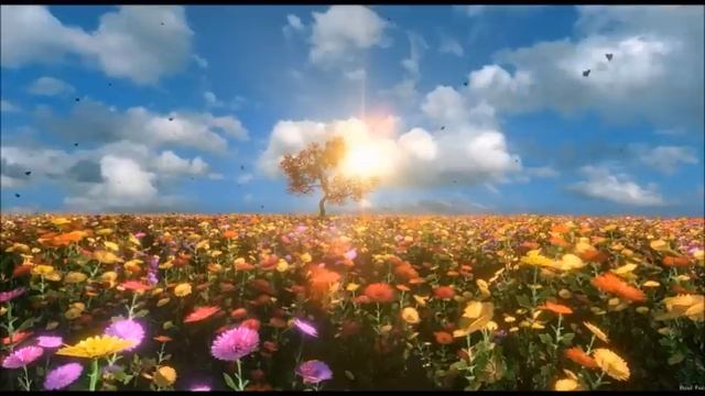 Евангелие от Луки / Аудио - Библия смотреть онлайн