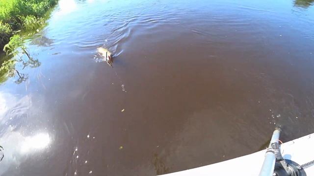 Обзор воблера Sprut Takari 130S по заказу Fmagazin смотреть онлайн