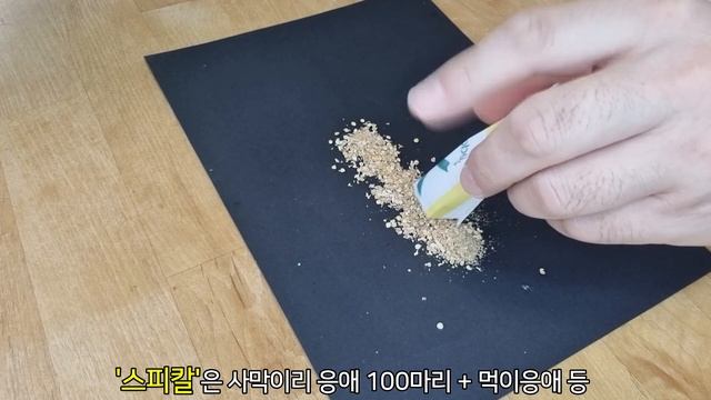 응애 생기기 쉬운 지금 농약 안쓰고 손 안 대고 식물에 생기는 벌레, 응애 없애는 법 - 천적 친환경 농법 식물키우기 벌레퇴치 정원 관리 HomeGardening смотреть онлайн