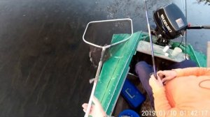 рыбалка на Печоре в июле 2020