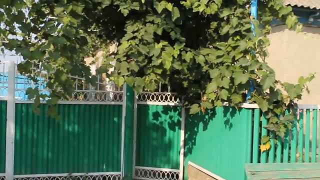 братские тюркские народы * ГОСТЕПРИИМСТВО КАК СИМВОЛ ГАГАУЗ ЕРИ * Tatar Cinema International смотреть онлайн