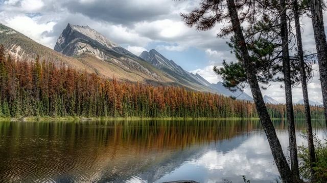 Robbie Basho. Green River Suite смотреть онлайн