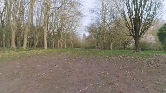 The history of the Lovell Quinta Arboretum, Swettenham, Cheshire смотреть онлайн