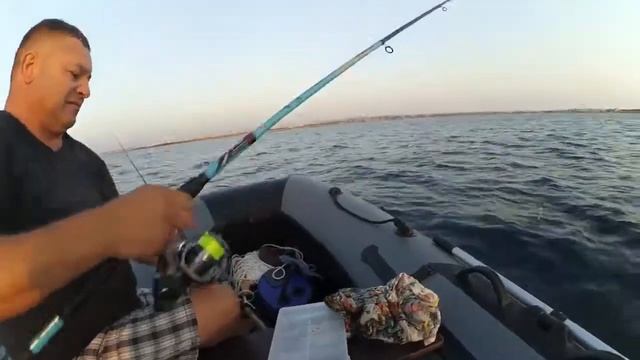 РЫБАЛКА В ЧЁРНОМ МОРЕ С ЛОДКИ / FISHING IN THE BLACK SEA FROM THE BOATHD 2019 смотреть онлайн
