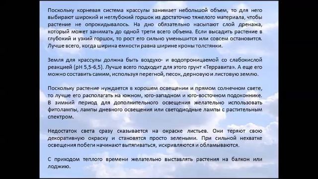 Крассула смотреть онлайн