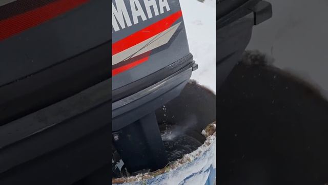 Лодочный  мотор ямаха 25  в мороз