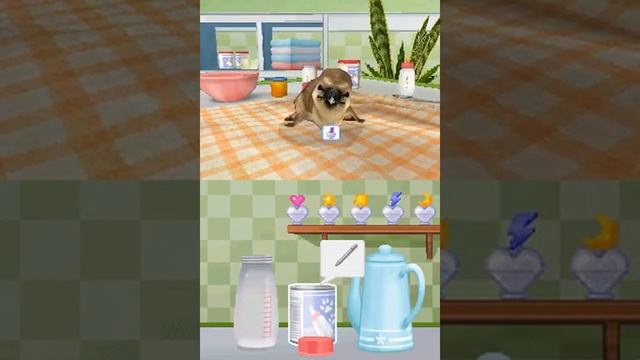 Petz Nursery 2 USA - Nintendo DS смотреть онлайн
