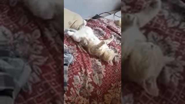 КОМАНДА "УМРИ" смотреть онлайн