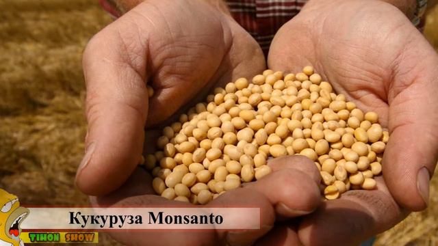 6 СЕКРЕТНЫХ МОНОПОЛИЙ, КОТОРЫЕ ПРАВЯТ МИРОМ! смотреть онлайн