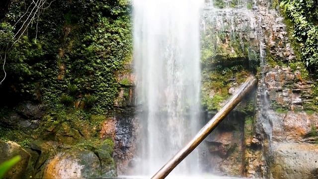 Спокойная Музыка Для Медитации И Снятия Стресса Meditation Music , Nature Sounds смотреть онлайн