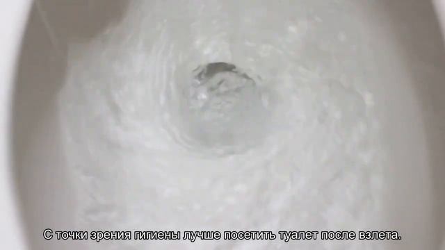 Когда лучше всего ходить в туалет в самолете (советы бортпроводника) смотреть онлайн