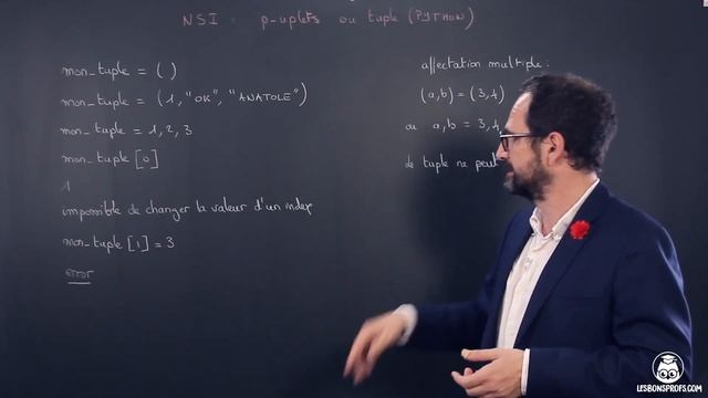 P-uplets ou tuple (Python) - NSI - Première - Les Bons Profs смотреть онлайн