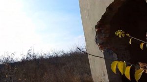 Ищем заброшку, место где живет сиреноголовый.