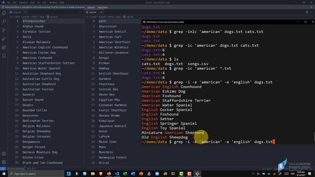 สอนใช้ grep ฉบับมือใหม่ เทคนิคที่ต้องรู้ในการค้นข้อมูลในไฟล์ смотреть онлайн