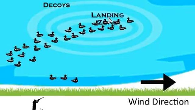 How To Setup Diver Duck Decoys смотреть онлайн
