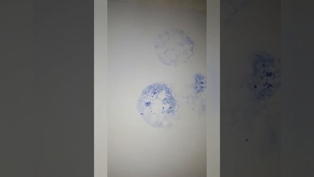 2 картины в одном занятии