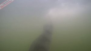 СЛАГ. Тактика ловли, НЮАНСЫ проводки, СЕКРЕТЫ ОСНАЩЕНИЯ. Спиннинг, водохранилище, лодка