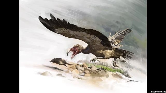 Argentavis and the Teratorns: Among the Largest Birds to Ever Fly смотреть онлайн