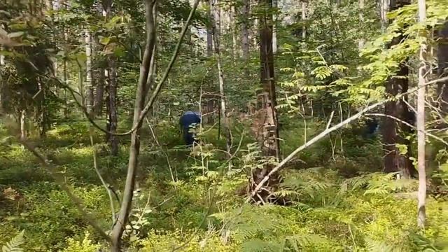 Поиски пенсионерки в Борисовском районе смотреть онлайн