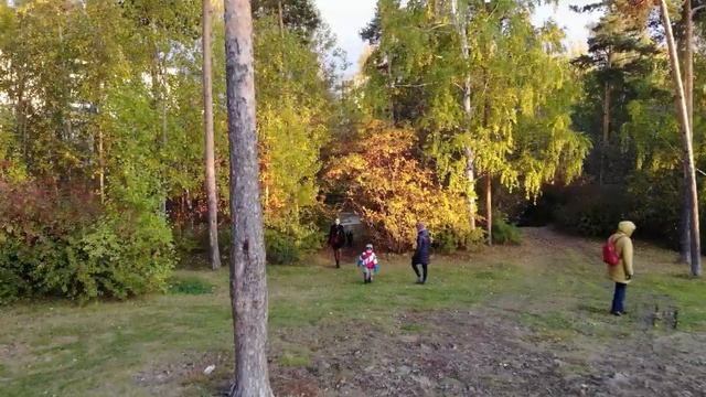 Осень золотая в Екатеринбурге смотреть онлайн