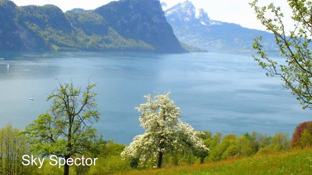 8 Cтань свободным - Истина есть