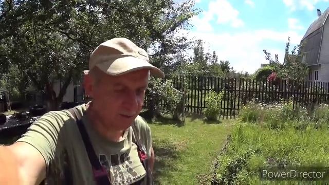 Готовим вкусный завтрак. Саша на даче. Знакомство с котенком.Vlog. Брест смотреть онлайн