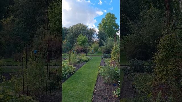 #zen #botanicgarden #oxford #uk #англия #ботаническийсад #оксфорд #inglaterra #reinounido ?? смотреть онлайн