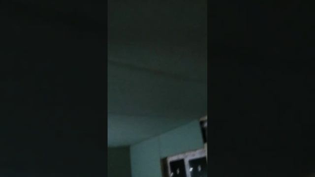 строительство каркасного дома черновая отделка. смотреть онлайн