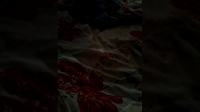 Моя старая камера смотреть онлайн