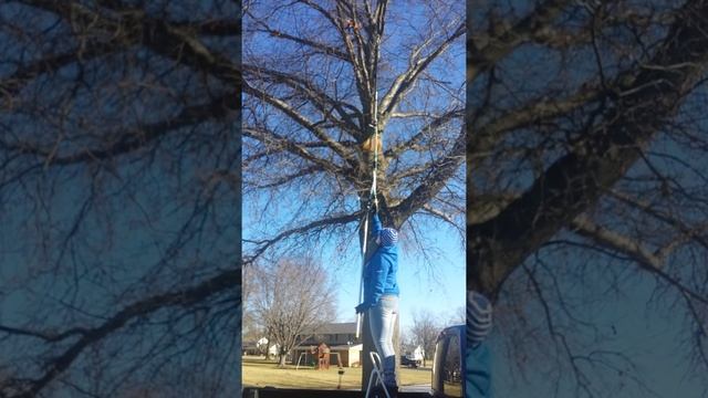 How to get your quad drone out of a tree part one смотреть онлайн